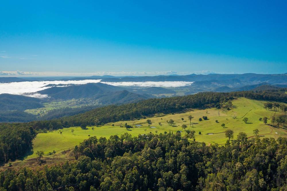 669 Costigans Road, YARRAS, NSW 2446