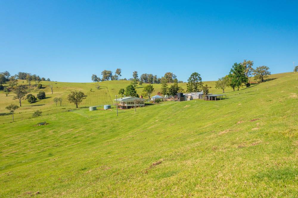 669 Costigans Road, YARRAS, NSW 2446