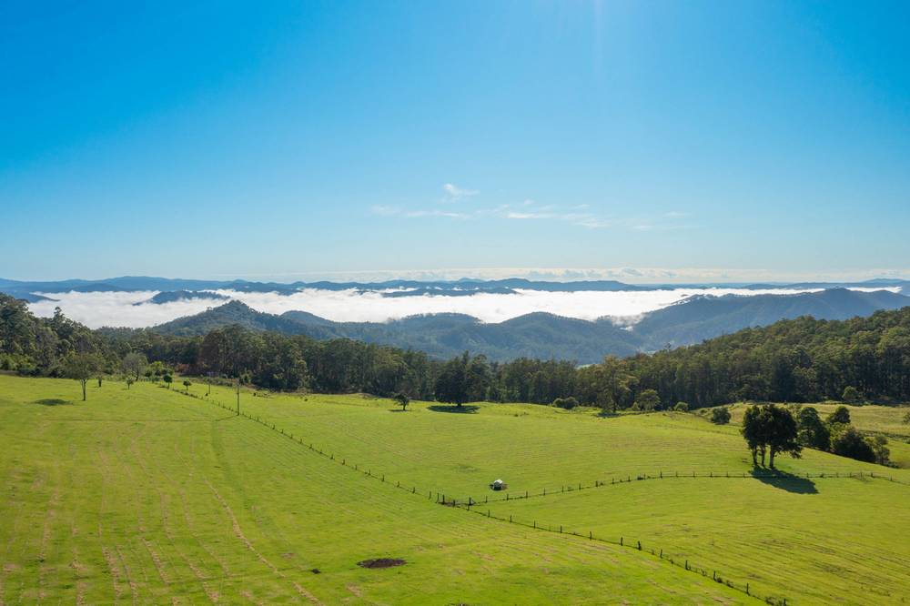 669 Costigans Road, YARRAS, NSW 2446
