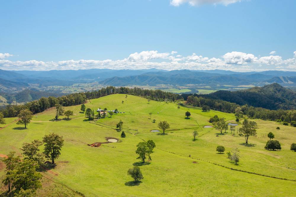 669 Costigans Road, YARRAS, NSW 2446