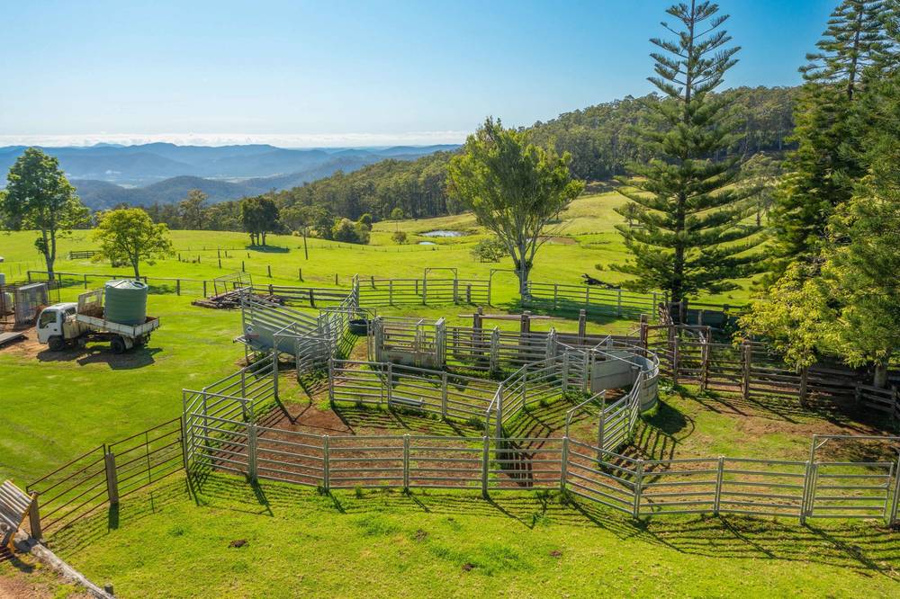 669 Costigans Road, YARRAS, NSW 2446