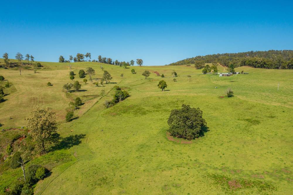 669 Costigans Road, YARRAS, NSW 2446