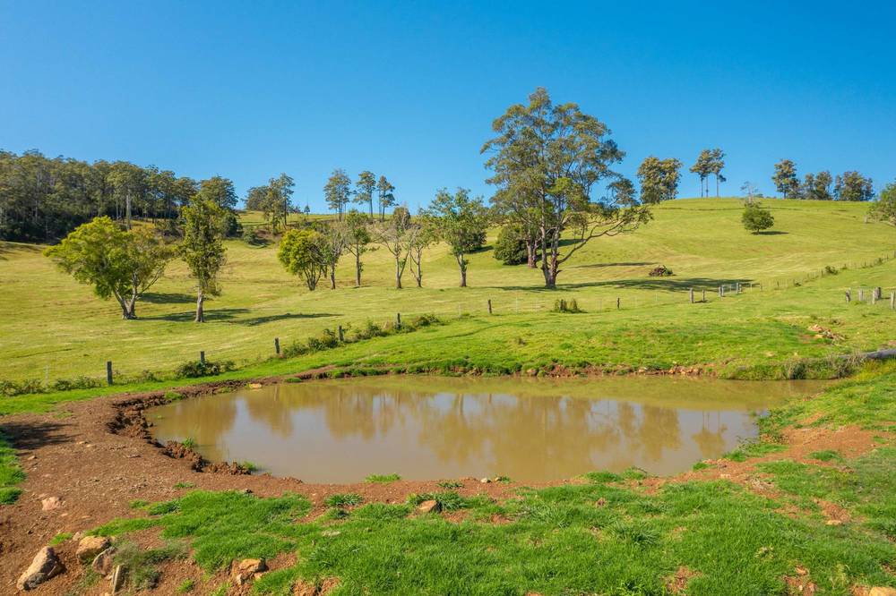 669 Costigans Road, YARRAS, NSW 2446