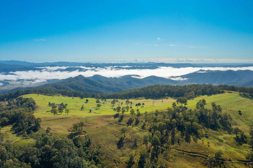 669 Costigans Road, YARRAS, NSW 2446