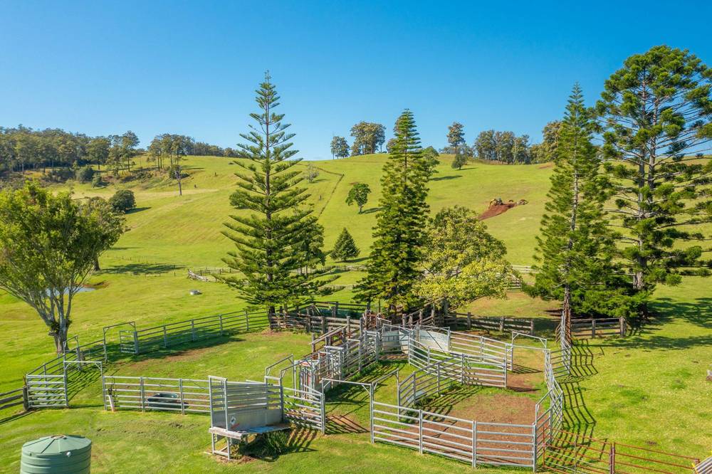 669 Costigans Road, YARRAS, NSW 2446