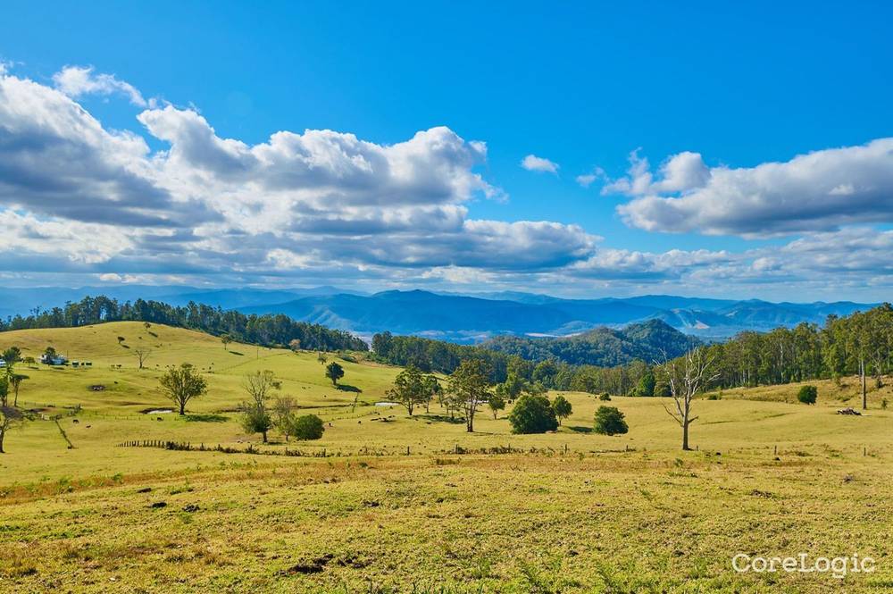 669 Costigans Road, YARRAS, NSW 2446
