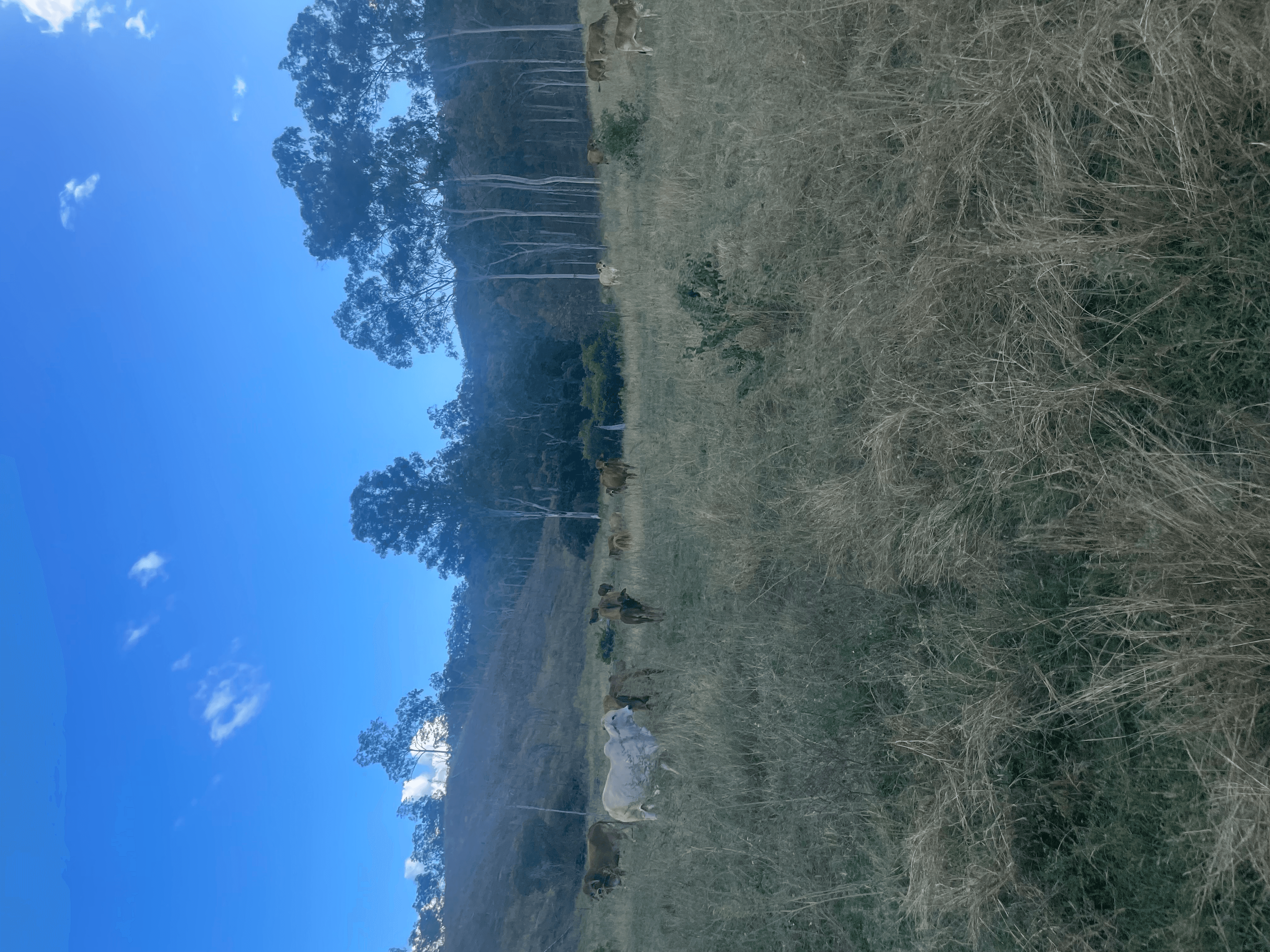 LOT 3 SULLIVANS ROAD, BOYNE VALLEY, QLD 4680