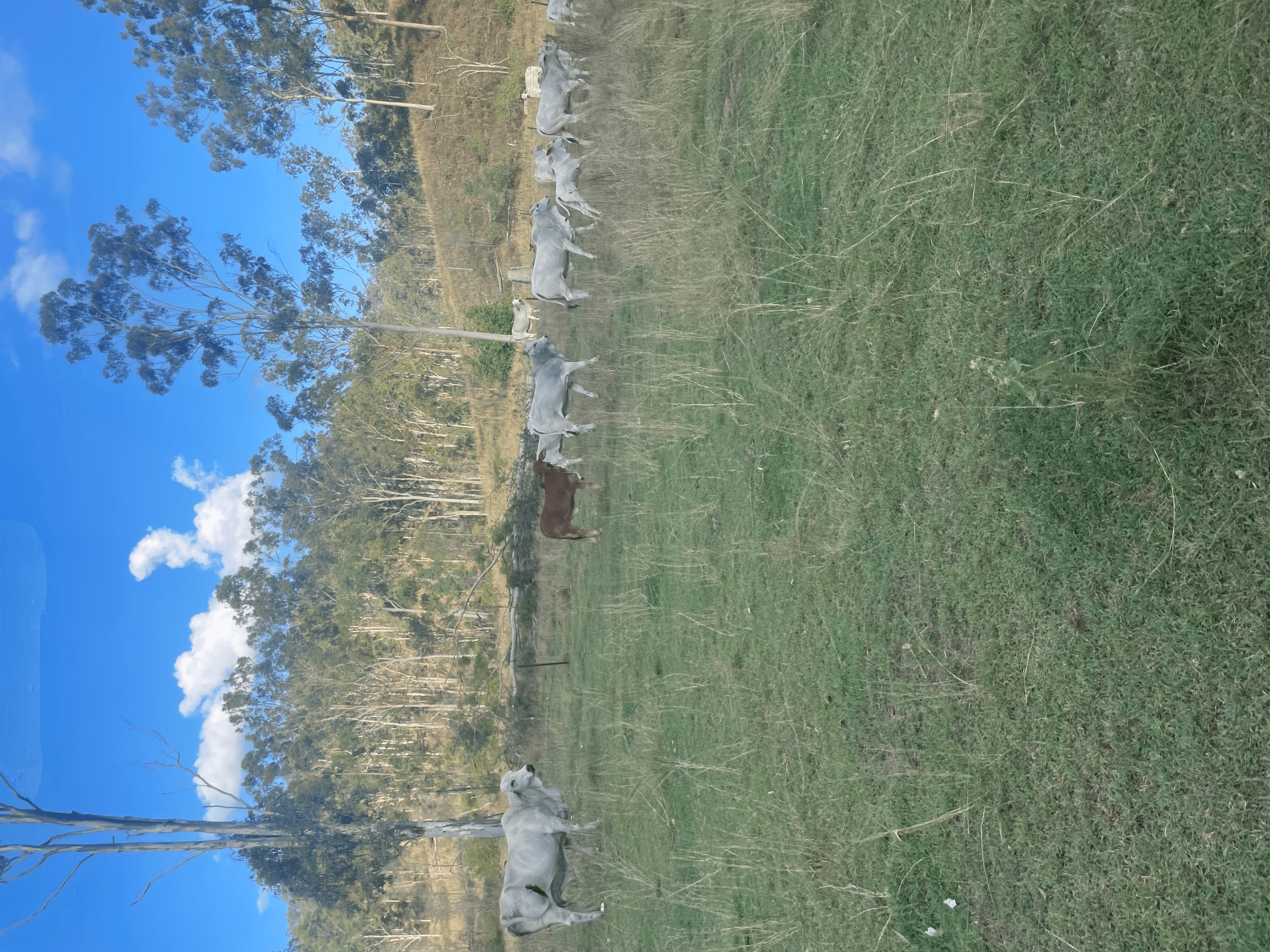 LOT 3 SULLIVANS ROAD, BOYNE VALLEY, QLD 4680