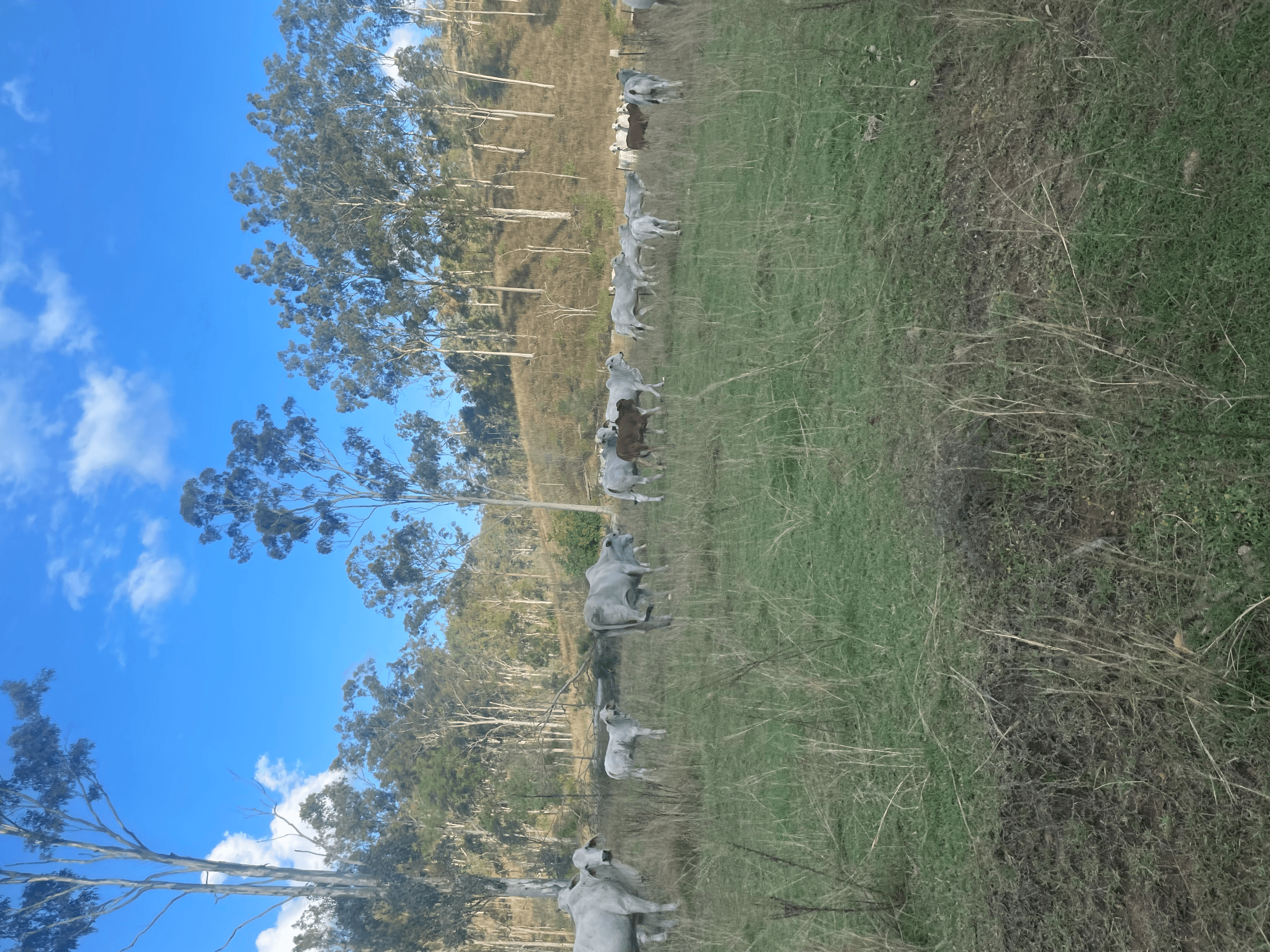 LOT 3 SULLIVANS ROAD, BOYNE VALLEY, QLD 4680