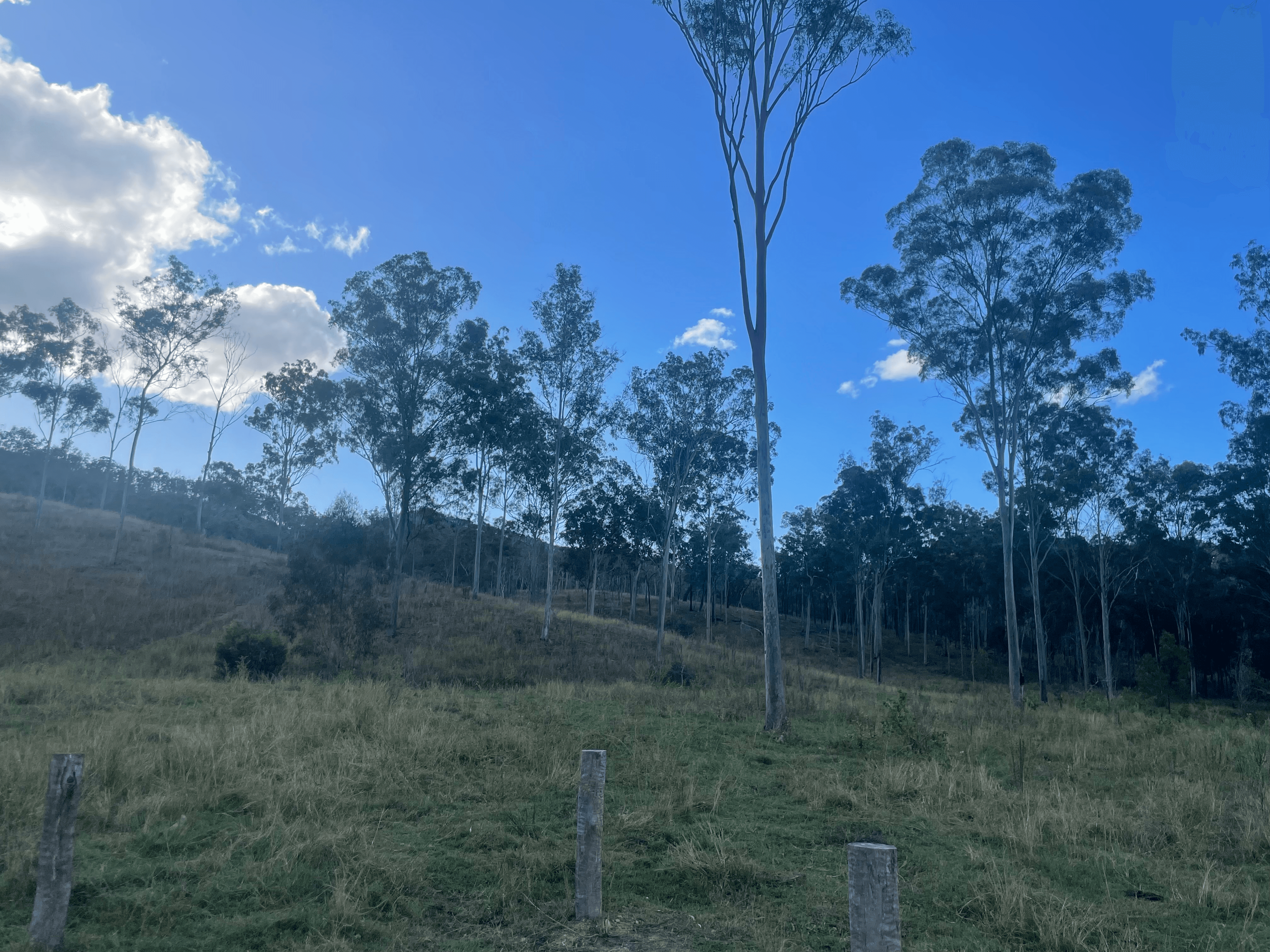 LOT 3 SULLIVANS ROAD, BOYNE VALLEY, QLD 4680