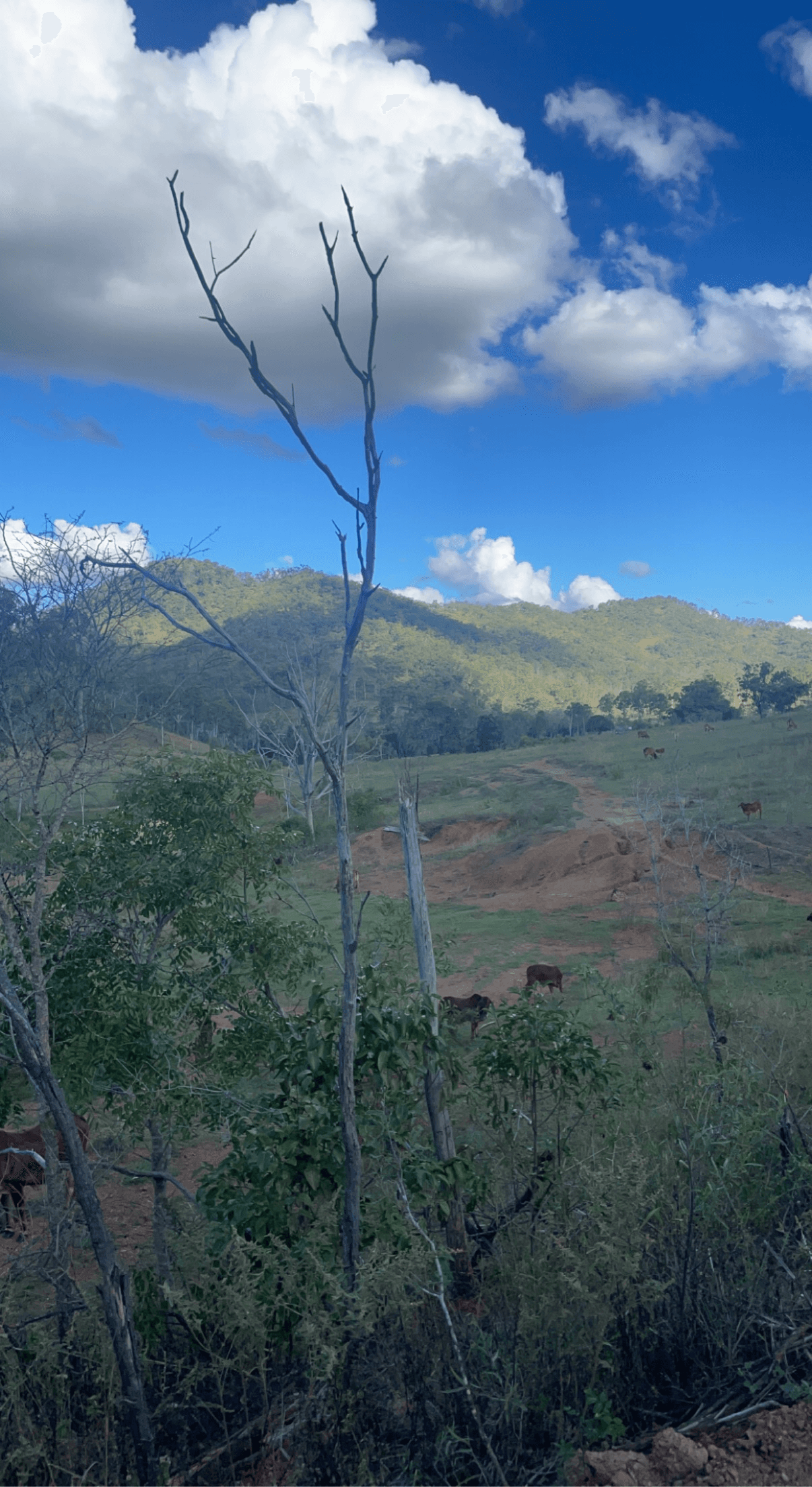 LOT 3 SULLIVANS ROAD, BOYNE VALLEY, QLD 4680