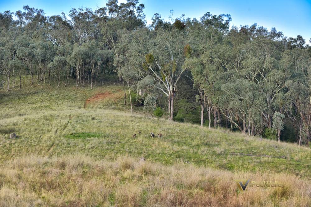 Lot 403 Winners Close, TAMWORTH, NSW 2340