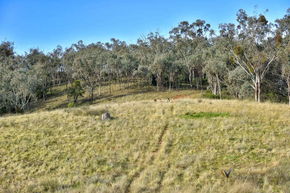 Lot 403 Winners Close, TAMWORTH, NSW 2340