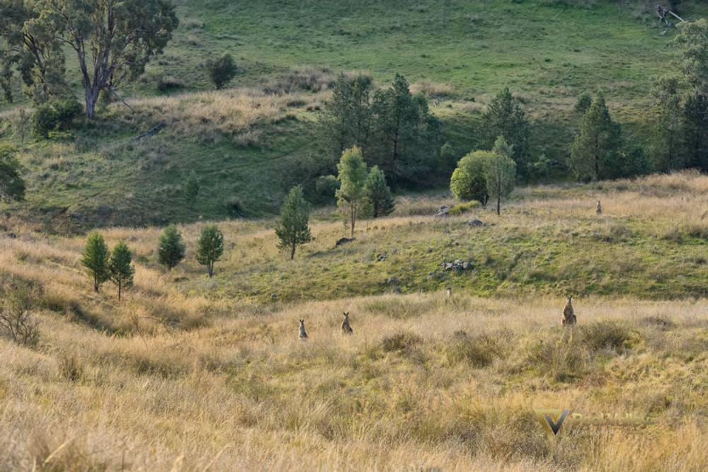 Lot 403 Winners Close, TAMWORTH, NSW 2340
