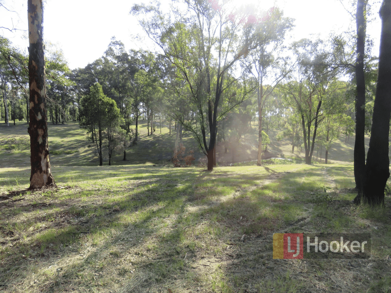 98 Mungay Flat Road, WILLAWARRIN, NSW 2440