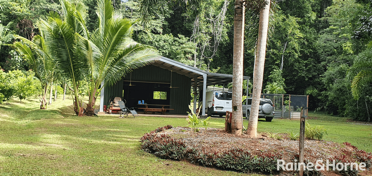 116 Hickory Road COW Bay, DAINTREE, QLD 4873