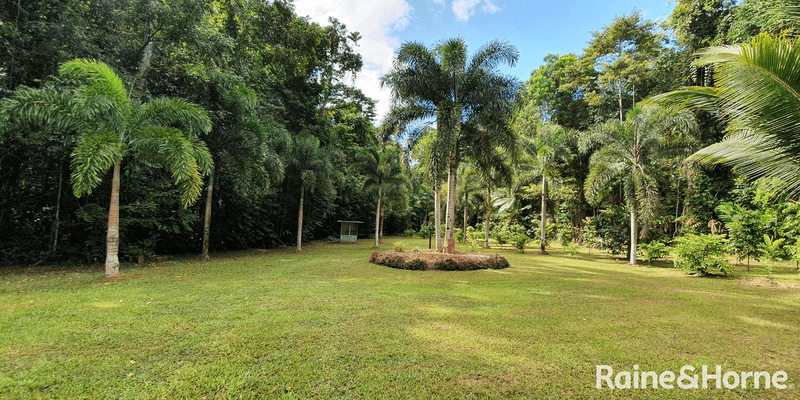 116 Hickory Road COW Bay, DAINTREE, QLD 4873