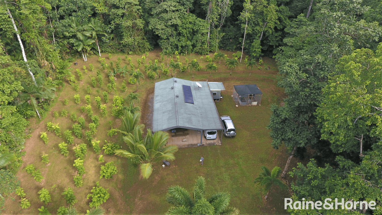 116 Hickory Road COW Bay, DAINTREE, QLD 4873
