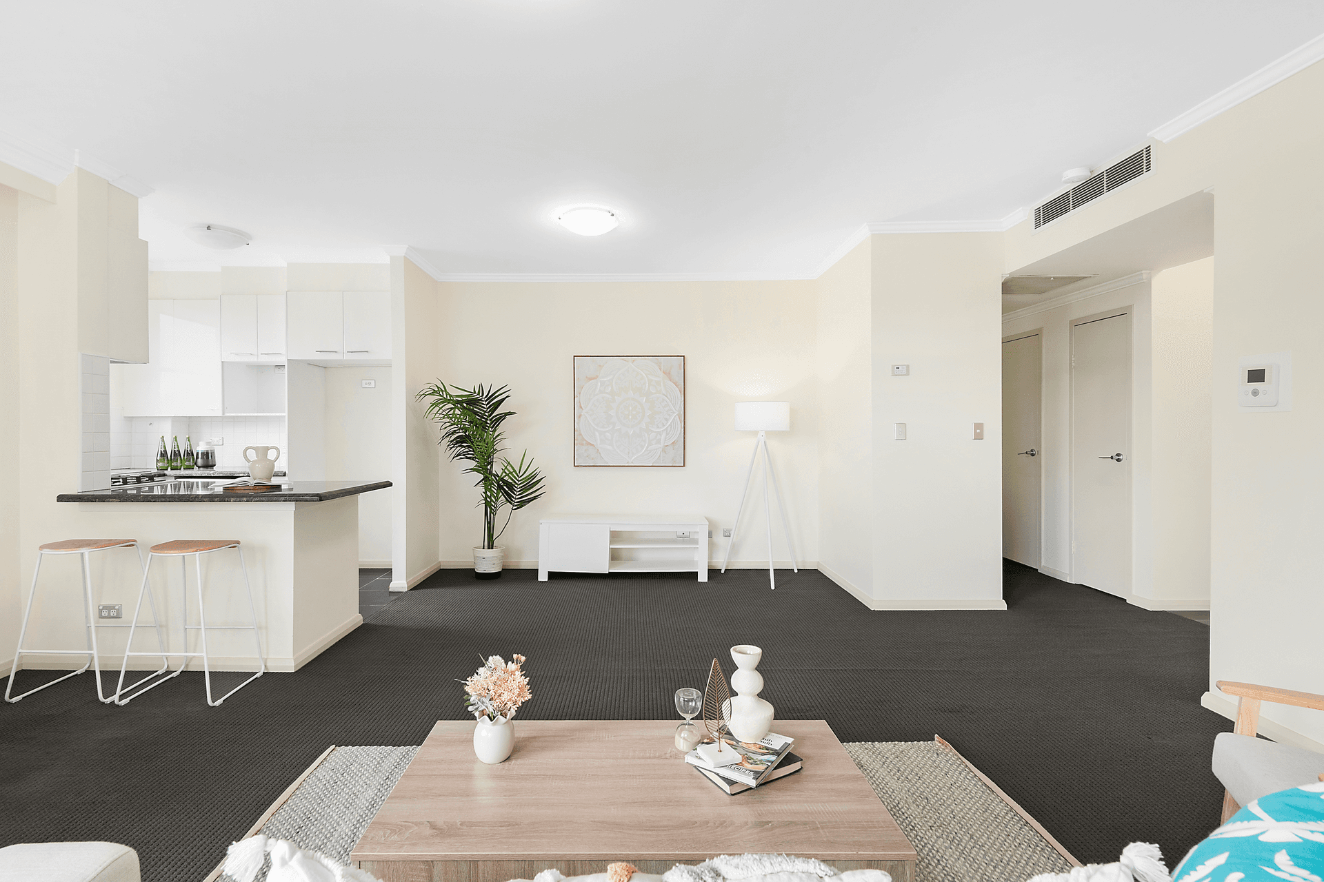 249/4 Bechert Road, Chiswick, NSW 2046