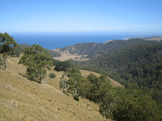 355 Wild Dog Access Track, APOLLO BAY, VIC 3233