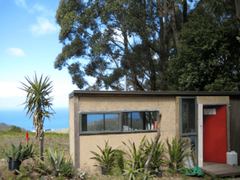 355 Wild Dog Access Track, APOLLO BAY, VIC 3233