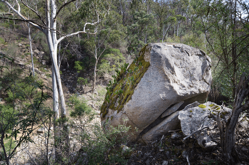 1915 Big Jack Mountain Rd, Rocky Hall, NSW 2550