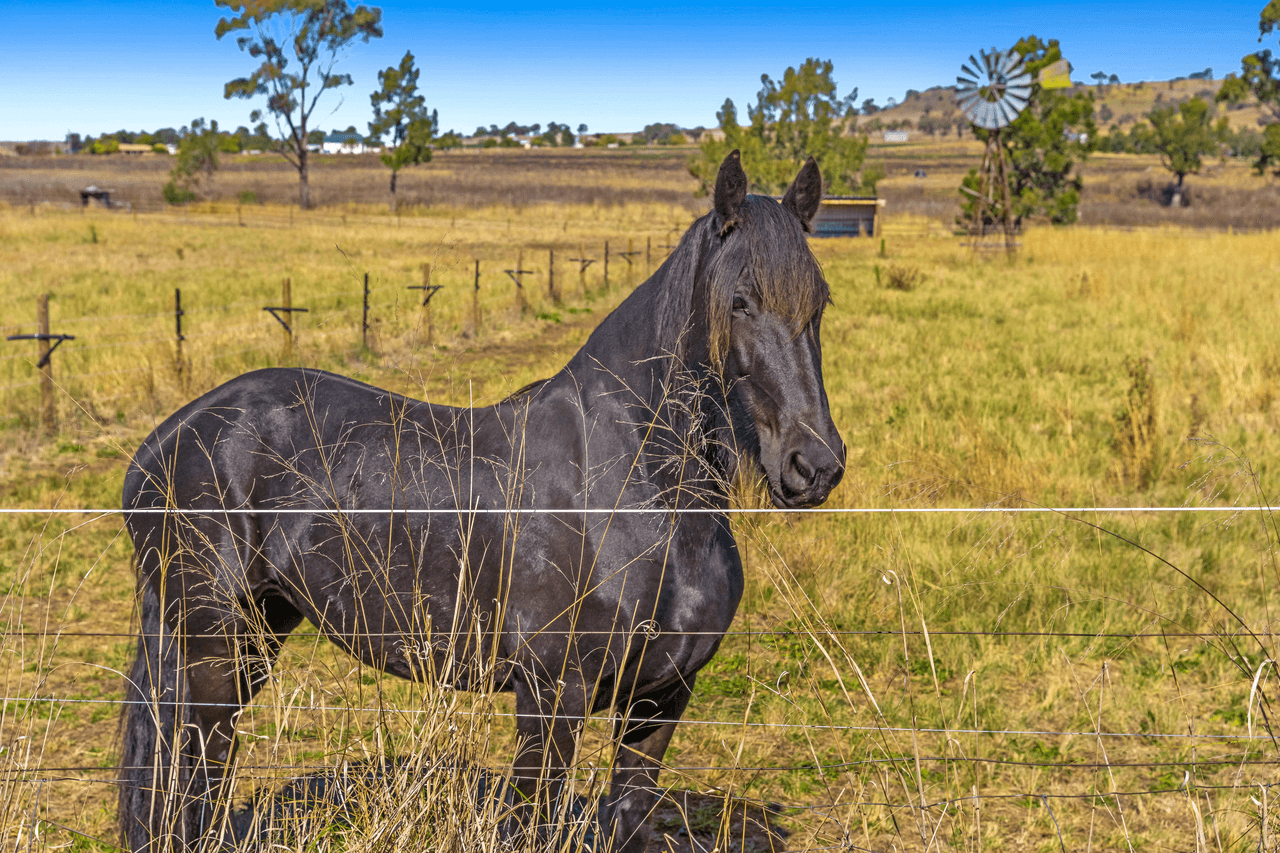 14412 New England Highway, EAST GREENMOUNT, QLD 4359