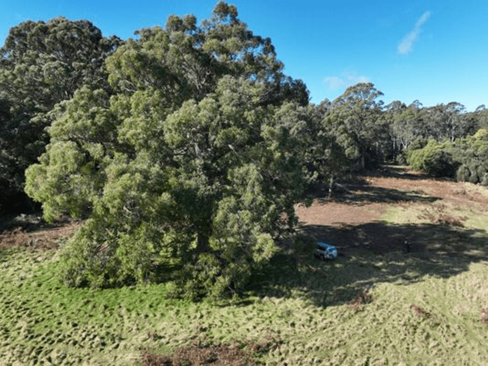 Lot 1 Samuel Street, Elizabeth Town, TAS 7304