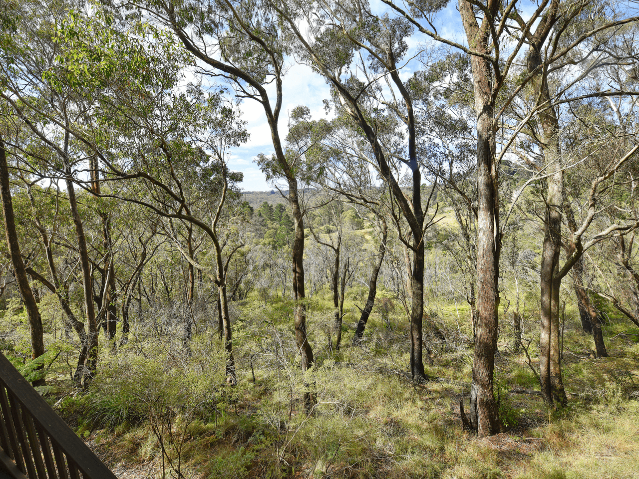 35 Days Crescent, Blackheath, NSW 2785