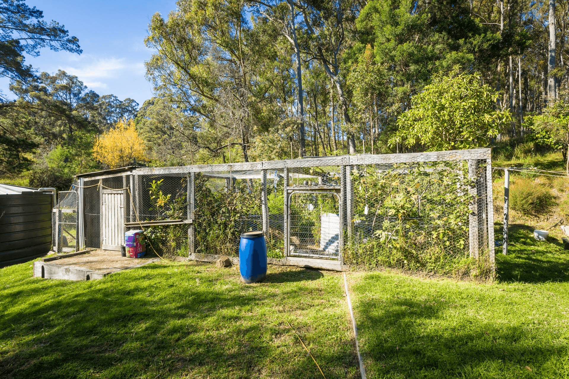 12 Green Hill Lane, Wyndham, NSW 2550