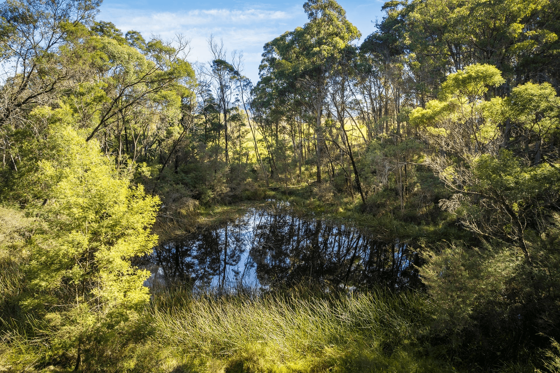12 Green Hill Lane, Wyndham, NSW 2550