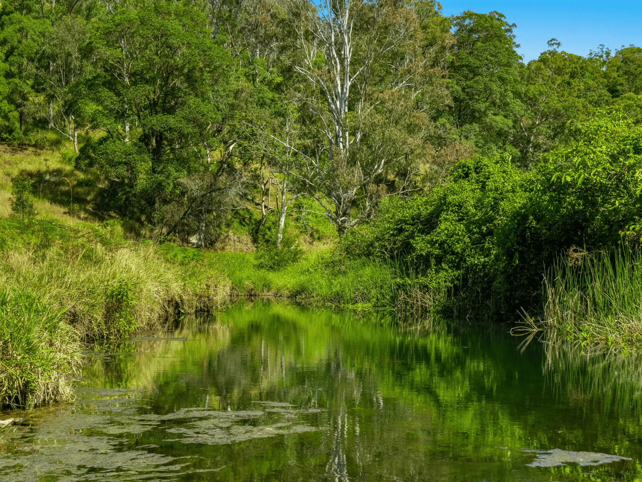 1325 Cawongla Road, LARNOOK, NSW 2480