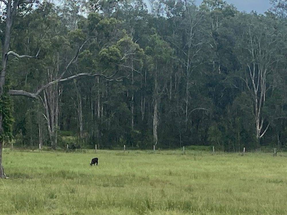 LOT 1 SEALE ROAD, VERGES CREEK, NSW 2440