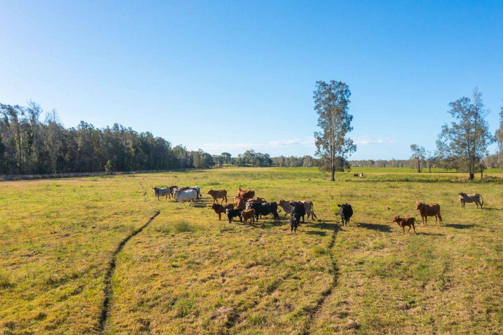 LOT 1 SEALE ROAD, VERGES CREEK, NSW 2440