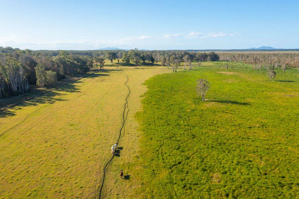 LOT 1 SEALE ROAD, VERGES CREEK, NSW 2440