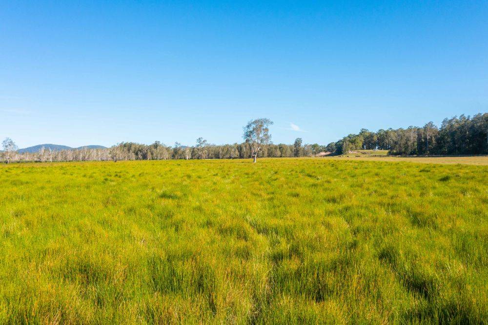 LOT 1 SEALE ROAD, VERGES CREEK, NSW 2440