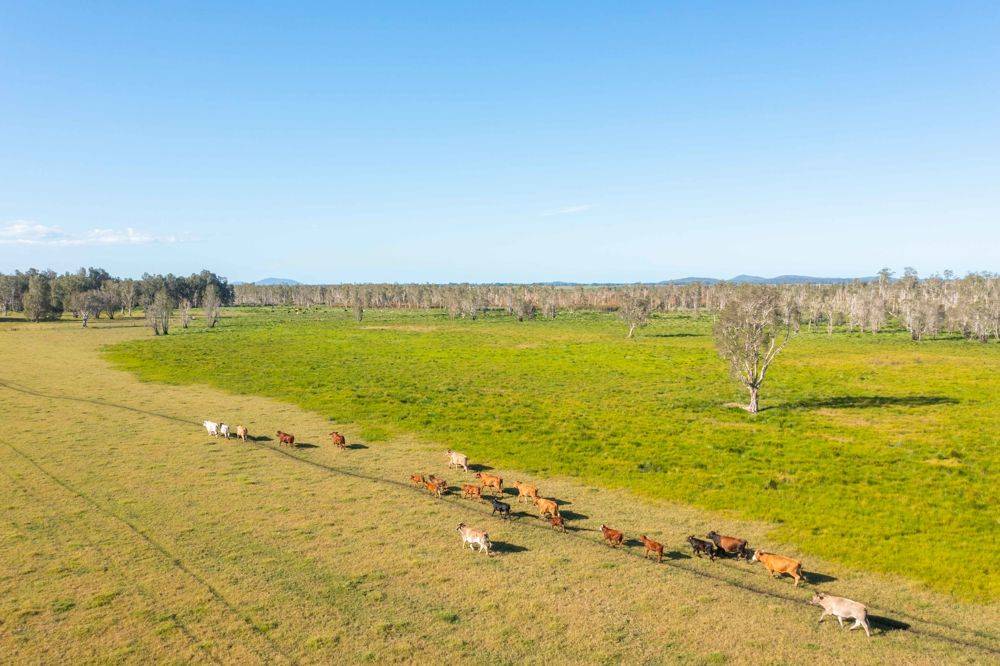 LOT 1 SEALE ROAD, VERGES CREEK, NSW 2440