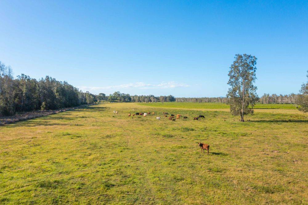 LOT 1 SEALE ROAD, VERGES CREEK, NSW 2440