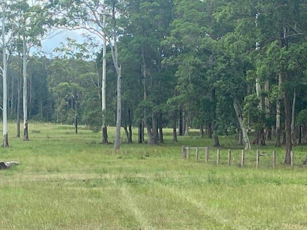 LOT 1 SEALE ROAD, VERGES CREEK, NSW 2440