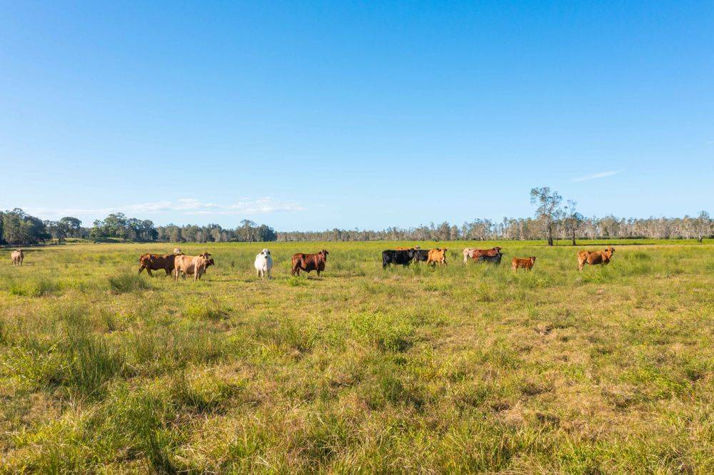LOT 1 SEALE ROAD, VERGES CREEK, NSW 2440