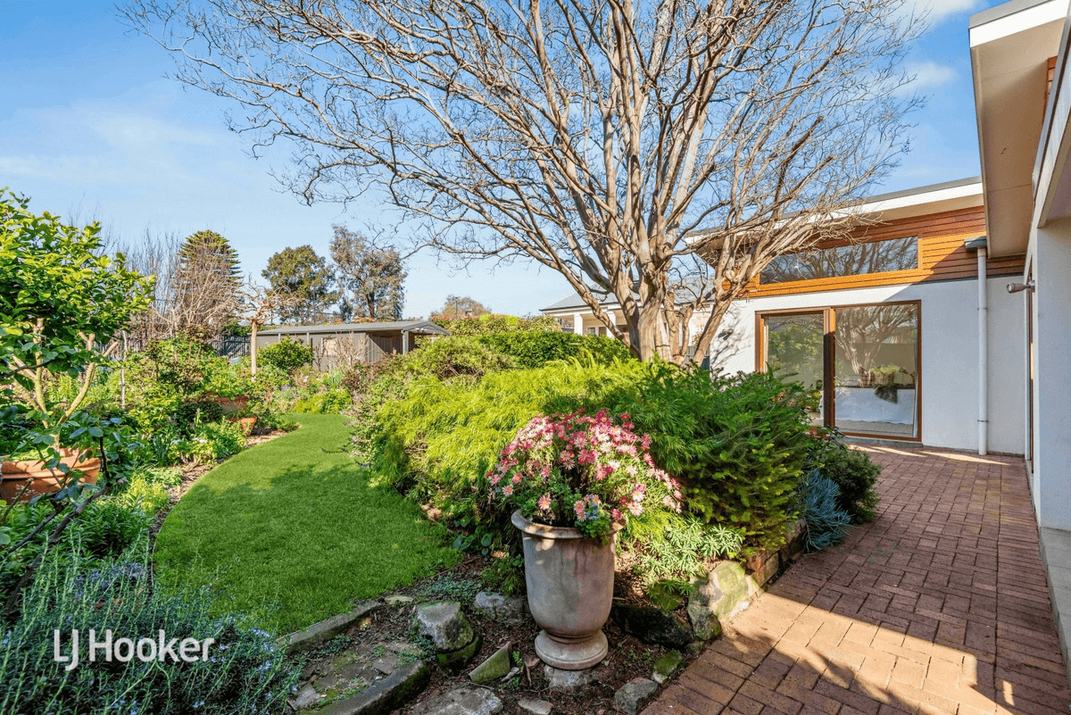 3 Bowillia Avenue, Hawthorn, SA 5062