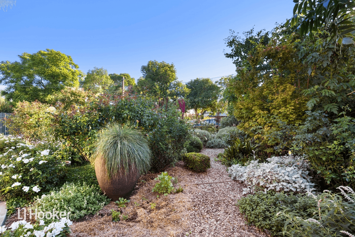 3 Bowillia Avenue, Hawthorn, SA 5062