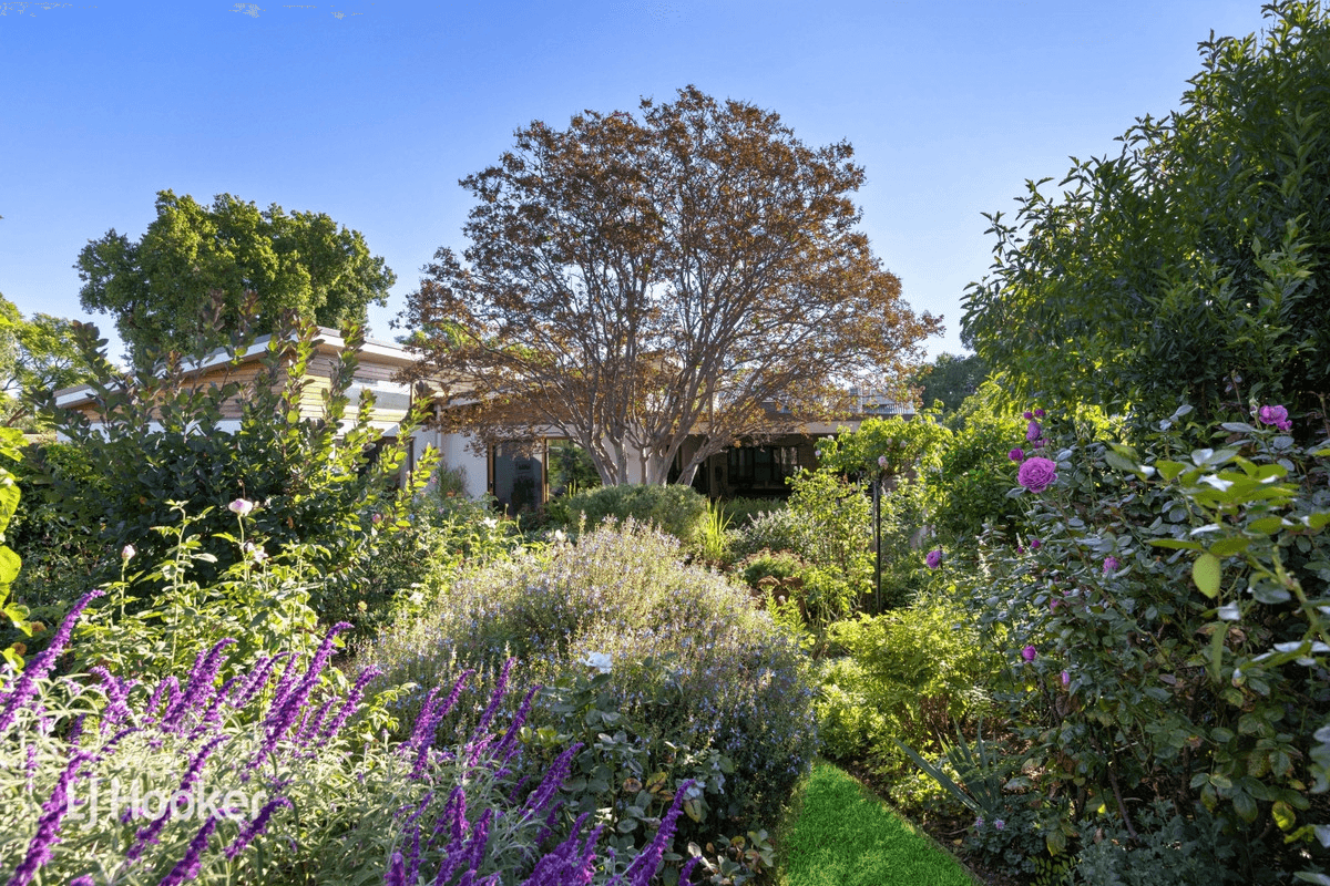 3 Bowillia Avenue, Hawthorn, SA 5062