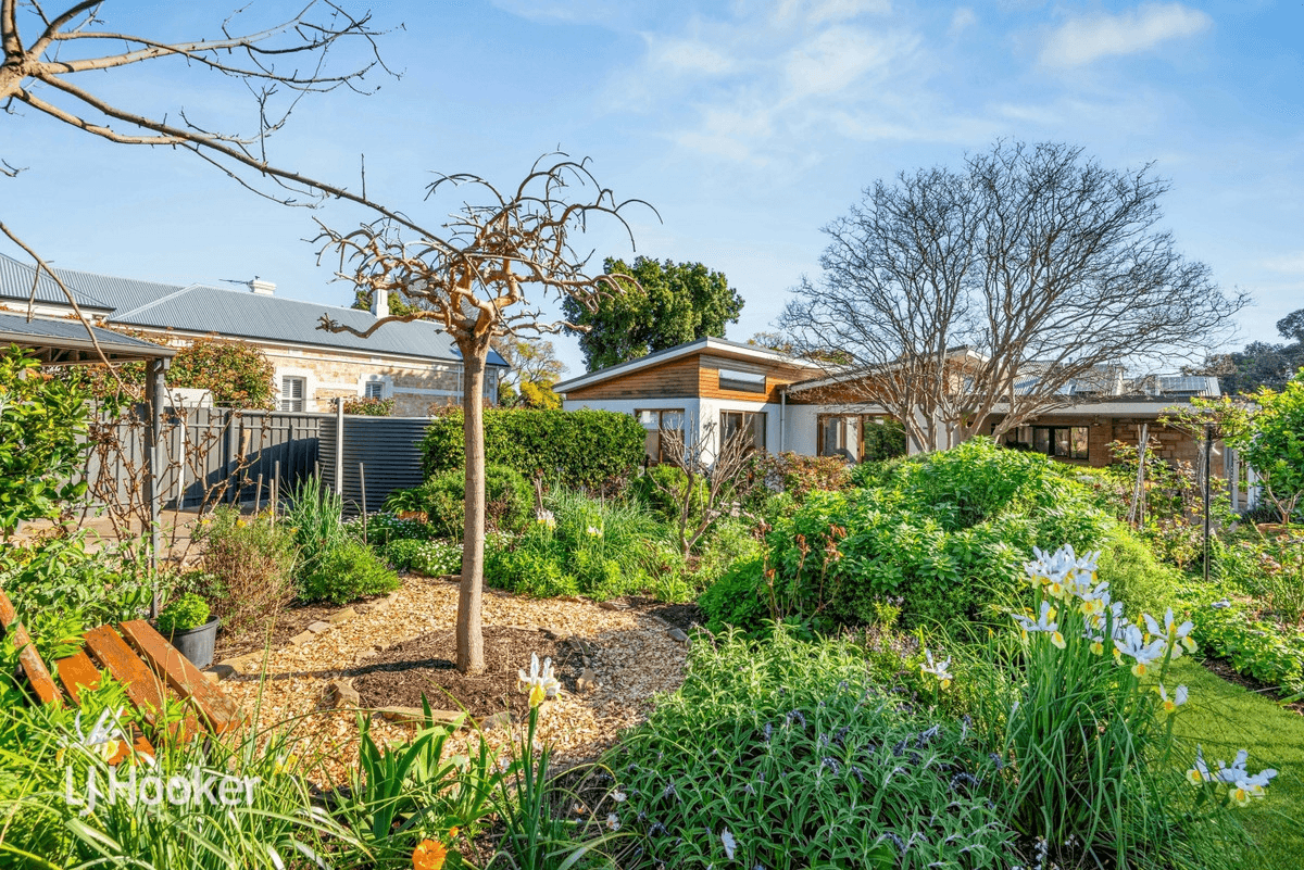 3 Bowillia Avenue, Hawthorn, SA 5062