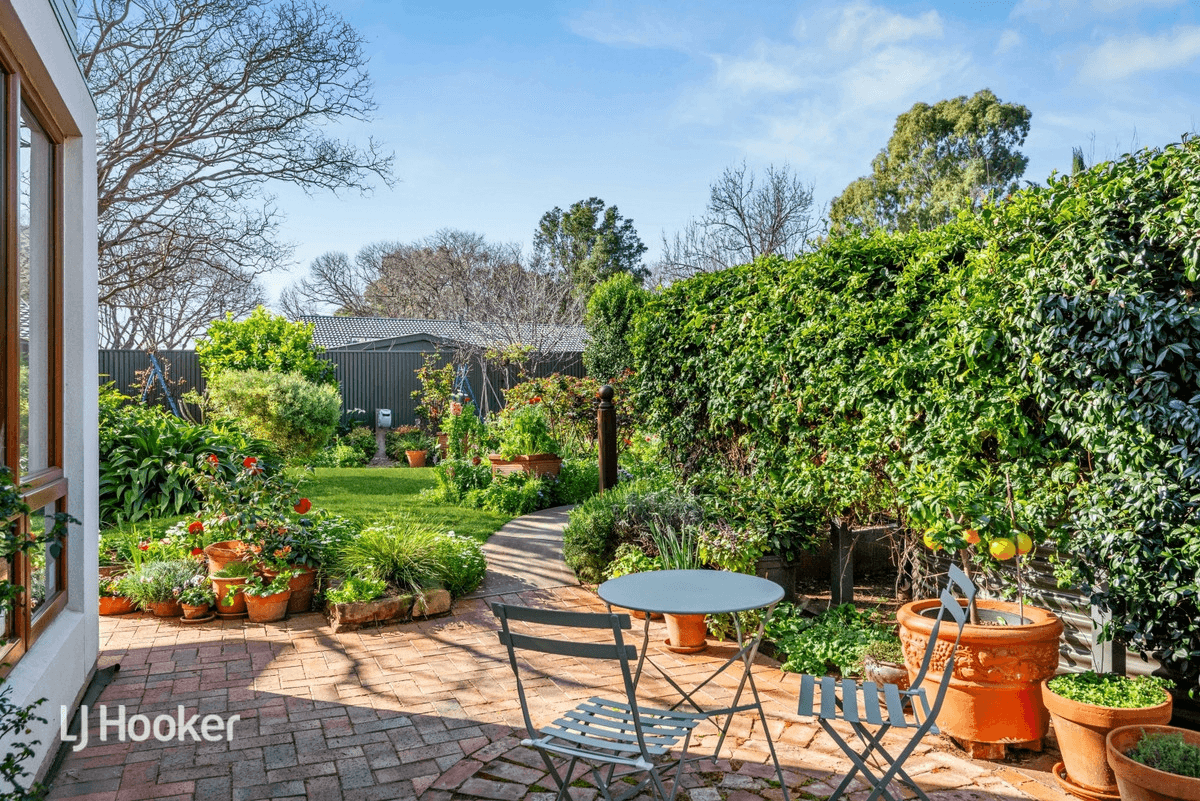 3 Bowillia Avenue, Hawthorn, SA 5062