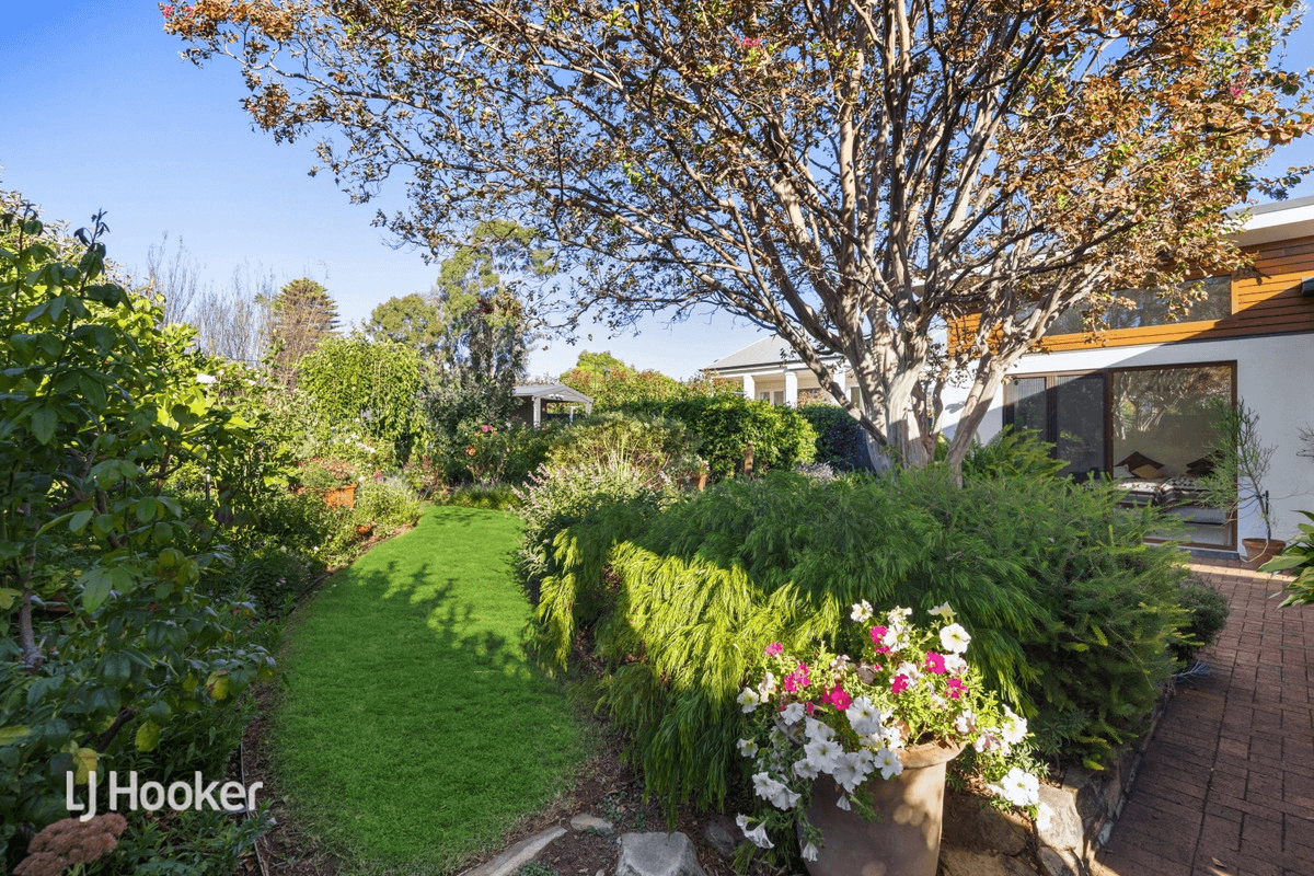 3 Bowillia Avenue, Hawthorn, SA 5062