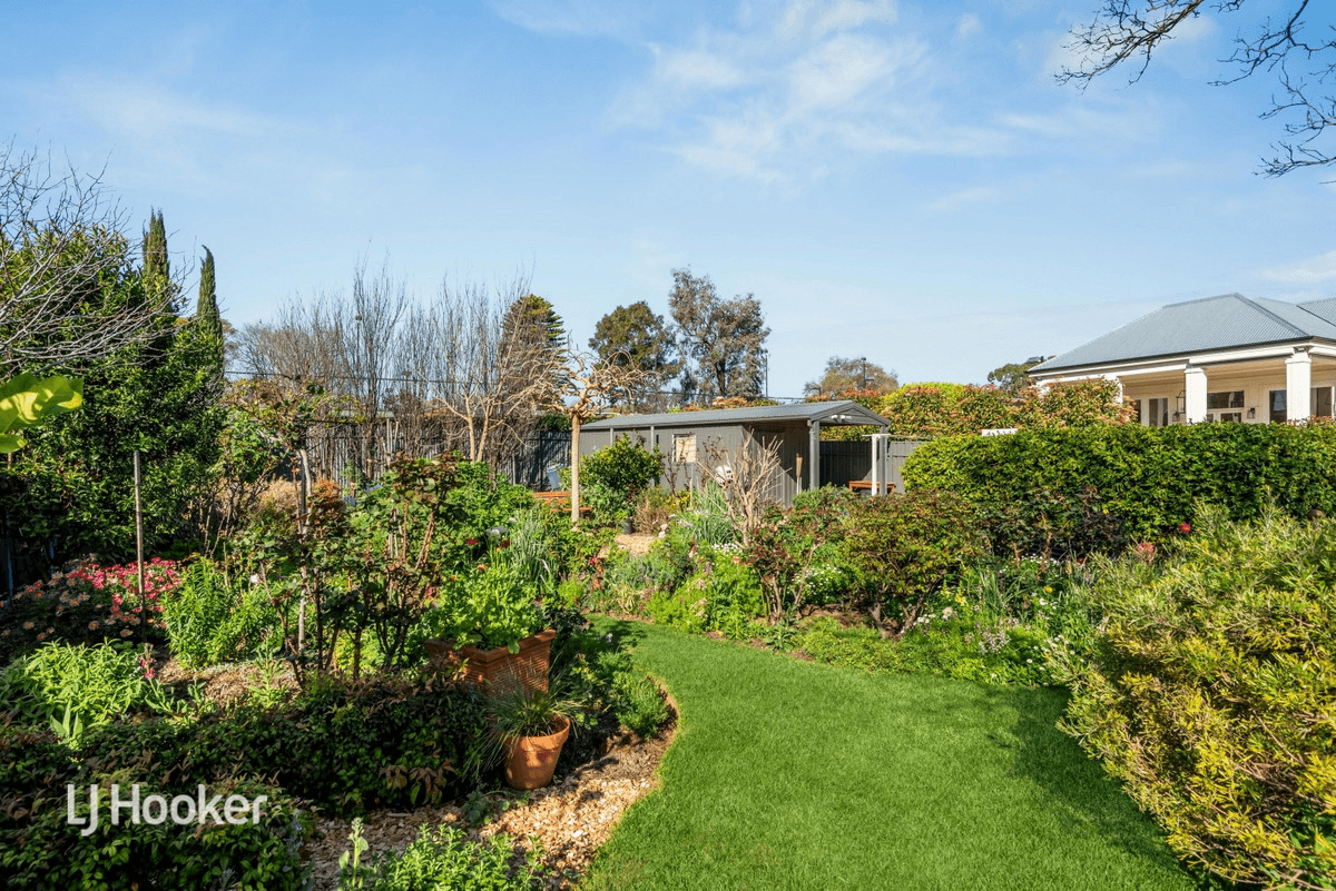 3 Bowillia Avenue, Hawthorn, SA 5062