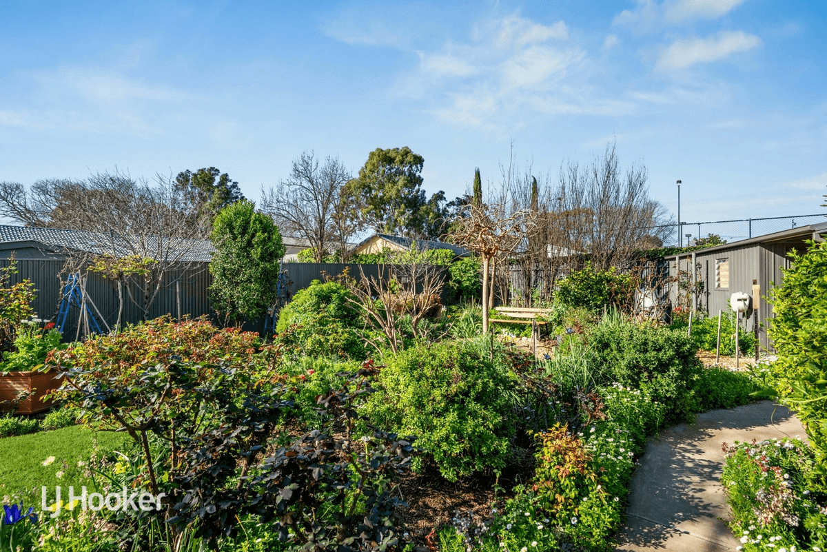 3 Bowillia Avenue, Hawthorn, SA 5062