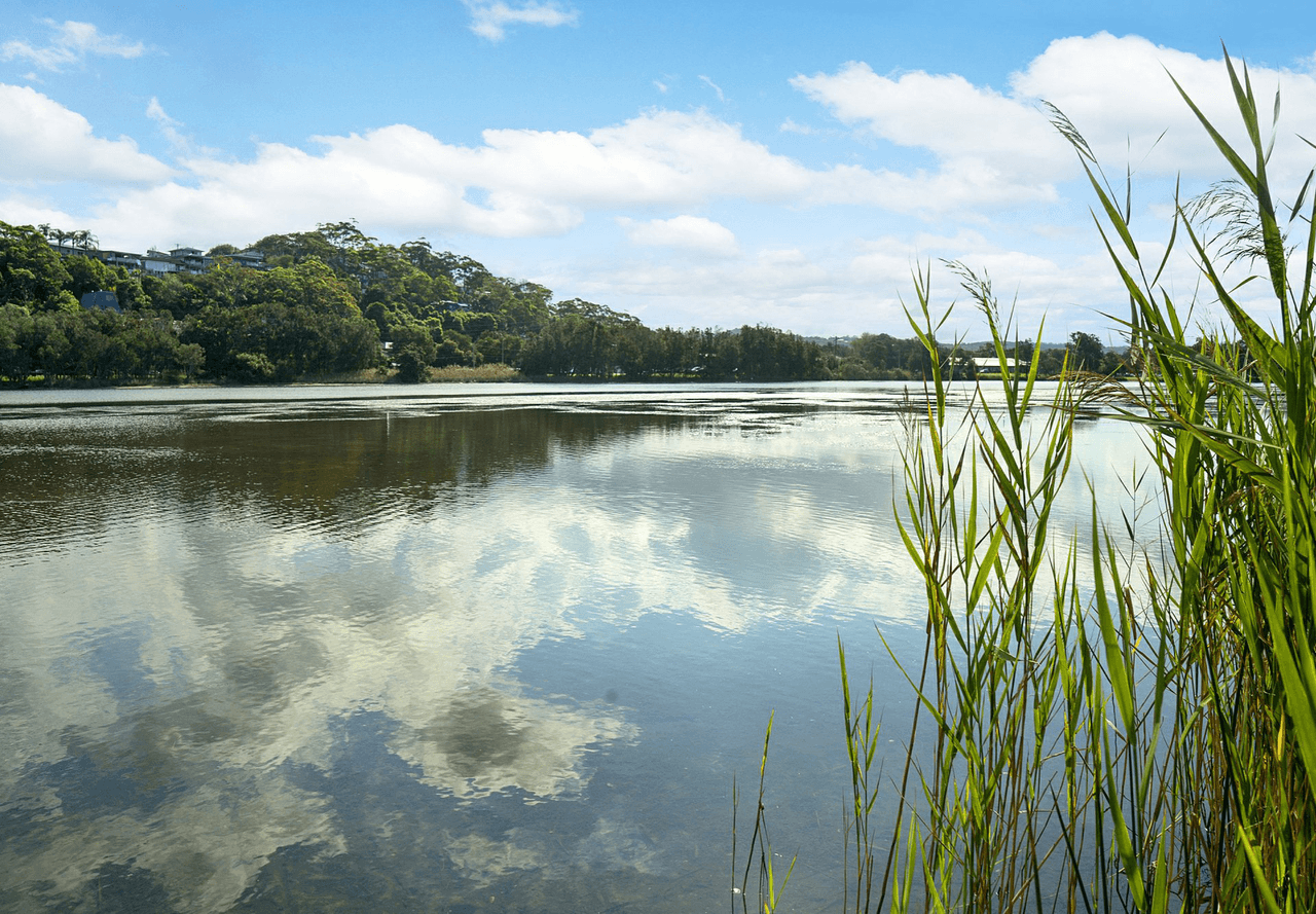 1/20 Lisle Street, NARRABEEN, NSW 2101