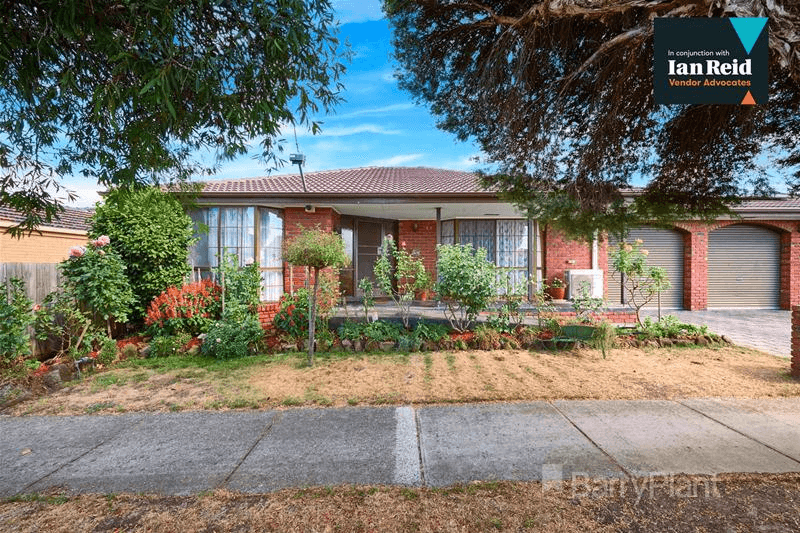 16 Sherwood Crescent, Dandenong North, VIC 3175